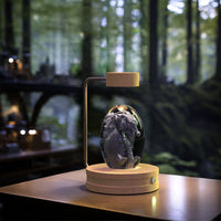 Magisches 3D Dinosaurier Nachtlicht – Kristall Kugel LED Lampe mit Warmlicht