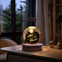 Magisches 3D Dinosaurier Nachtlicht – Kristall Kugel LED Lampe mit Warmlicht