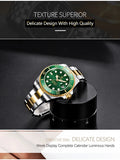 PAGANI DESIGN Automatic Watch Sapphire Glass Mechanical Wristwatch Sports Stainless Steel Waterproof Men Watch - TREASURE ESHOP