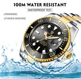 PAGANI DESIGN Automatic Watch Sapphire Glass Mechanical Wristwatch Sports Stainless Steel Waterproof Men Watch - TREASURE ESHOP