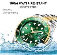 PAGANI DESIGN Automatic Watch Sapphire Glass Mechanical Wristwatch Sports Stainless Steel Waterproof Men Watch - TREASURE ESHOP
