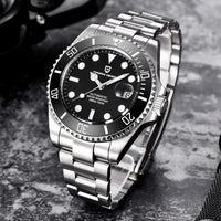 PAGANI DESIGN Automatic Watch Sapphire Glass Mechanical Wristwatch Sports Stainless Steel Waterproof Men Watch - TREASURE ESHOP