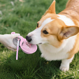 2-in-1 Reisewasserflasche aus Edelstahl mit Trinknapf für kleine Hunde