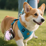 2-in-1 Reisewasserflasche aus Edelstahl mit Trinknapf für kleine Hunde