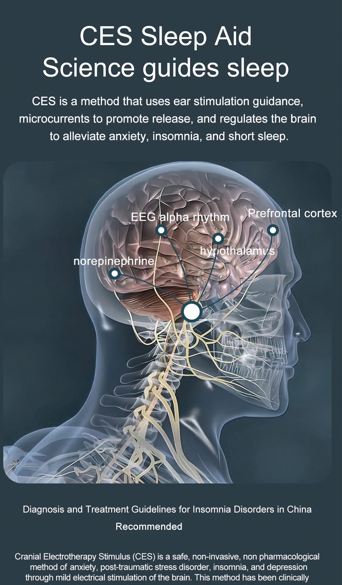 ECG+PPG Smart Health Watch | AI Blood Lipid & Fitness Tracker - TREASURE ESHOP