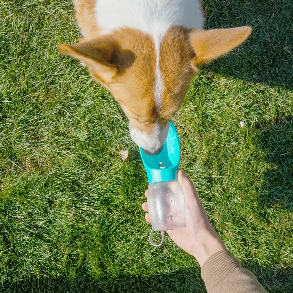 300 ml Wasserflasche mit Trinknapf für Hunde und Katzen, Farbe Türkis