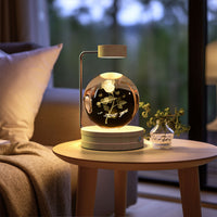Magisches 3D Dinosaurier Nachtlicht – Kristall Kugel LED Lampe mit Warmlicht